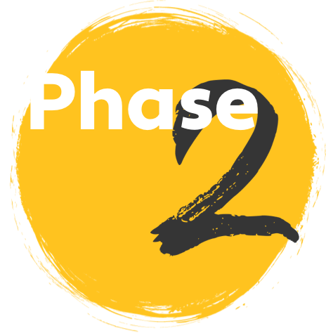 Icon: Phase 2 in the US FDA pathway