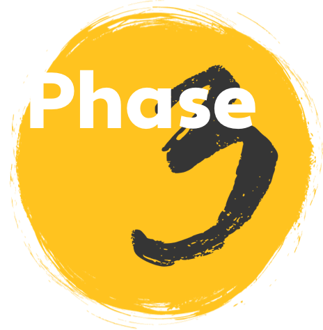 Icon: Phase 3 of the US FDA pathway