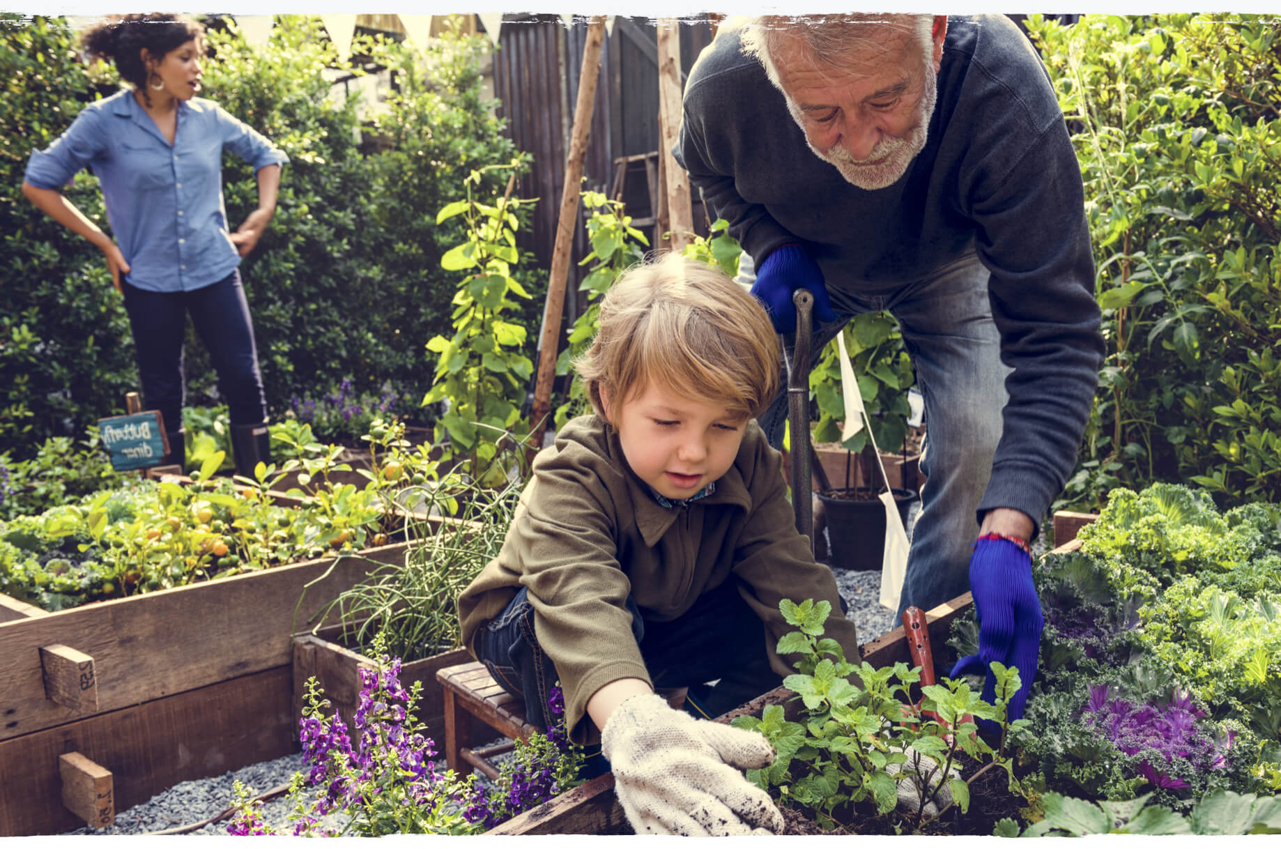 An older man shares a garden activity with a child.